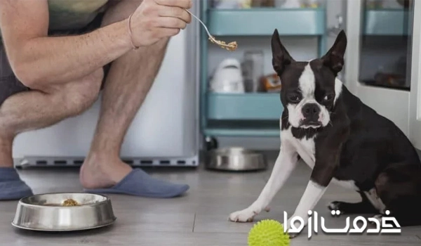 آموزش سگ برای نخوردن غذا از دیگران	